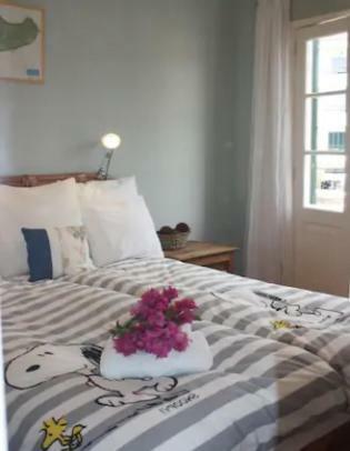 丰沙尔Old Town Penthouse - Barreirinha公寓 外观 照片